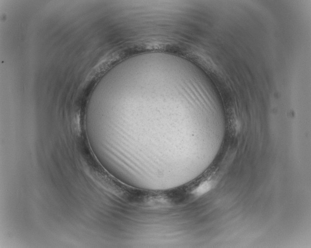 X0000075380262200609291558