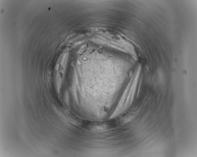 X0000075380263200609291558