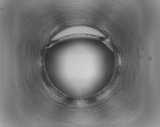 X0000075380264200609291558