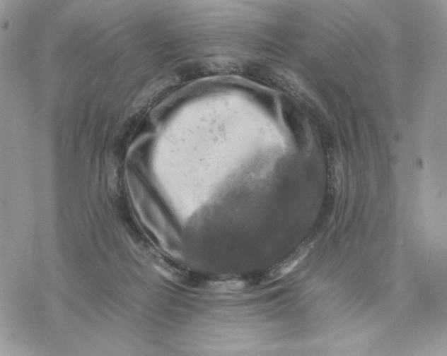 X0000075380266200609291558