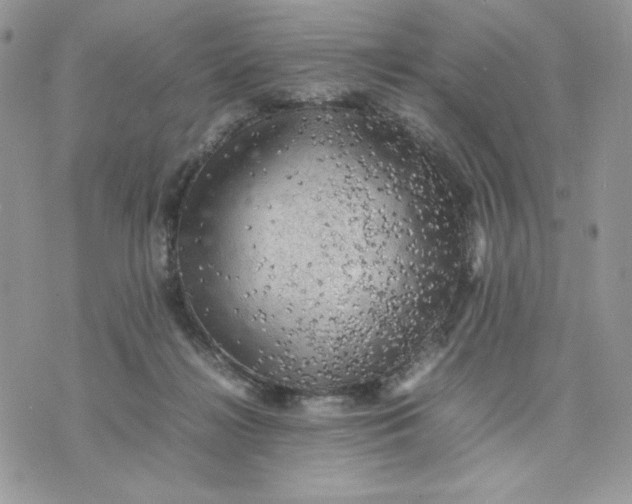 X0000075380268200609291558