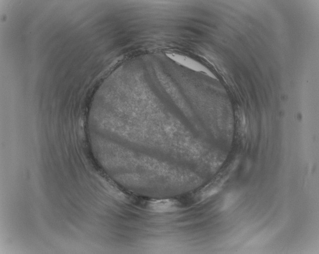 X0000075380269200609291558