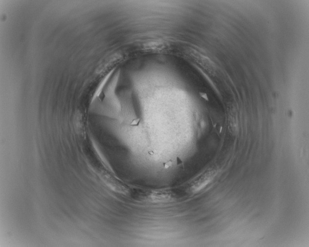 X0000075380270200609291558