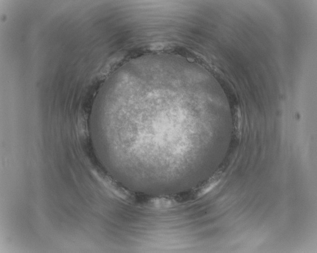 X0000075380272200609291558