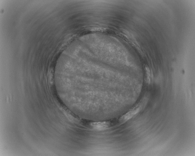 X0000075380273200609291558