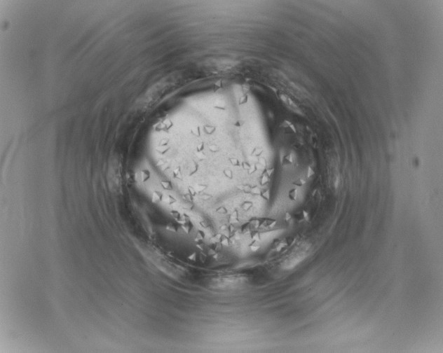 X0000075380274200609291558