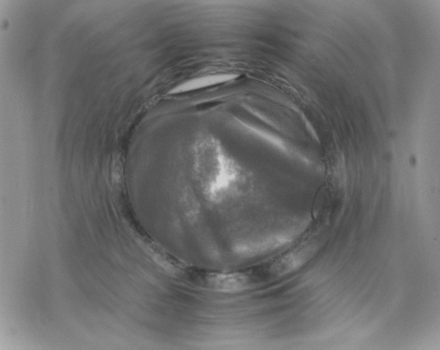 X0000075380277200609291558