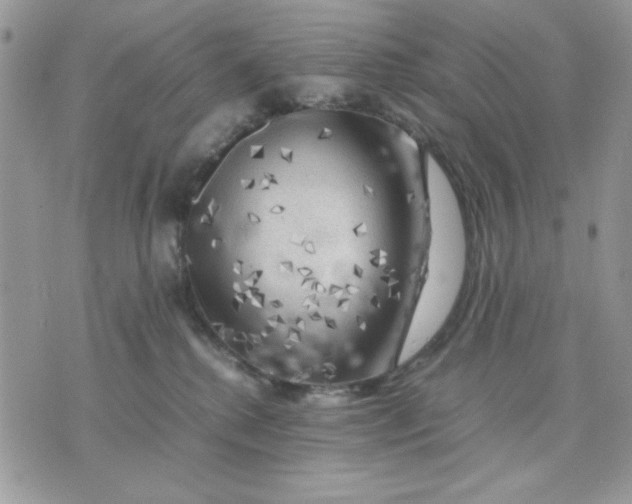 X0000075380280200609291558