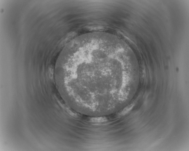 X0000075380281200609291558