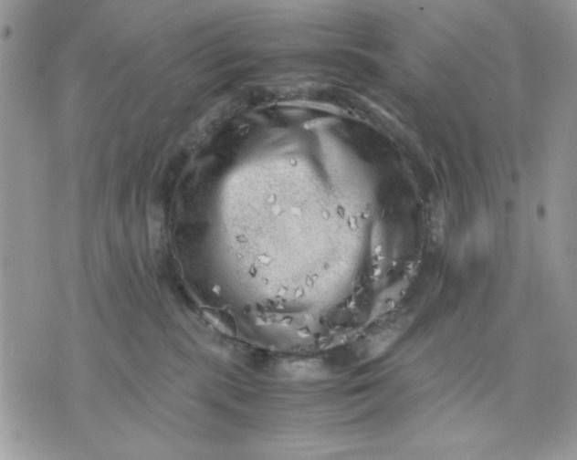 X0000075380283200609291558