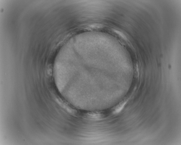 X0000075380284200609291558