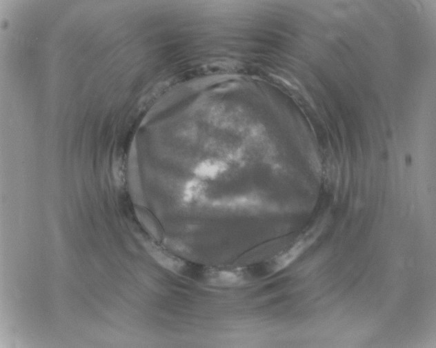 X0000075380285200609291558