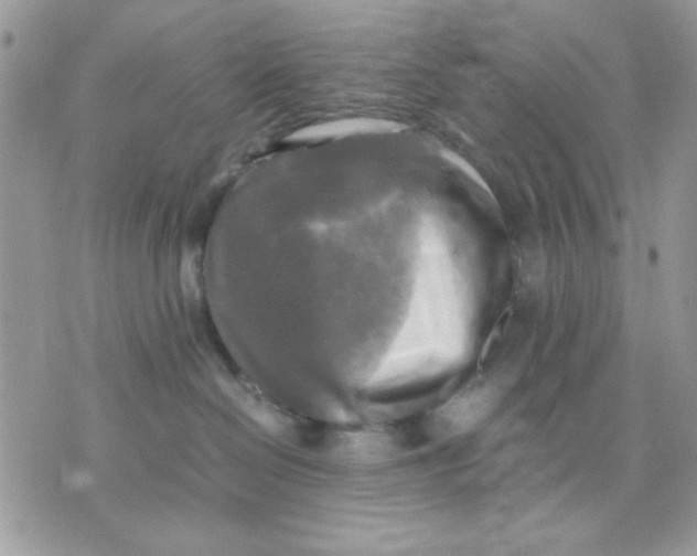 X0000075380286200609291558