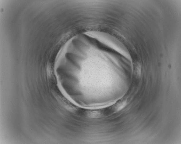 X0000075380287200609291559