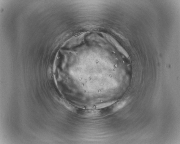 X0000075380288200609291559