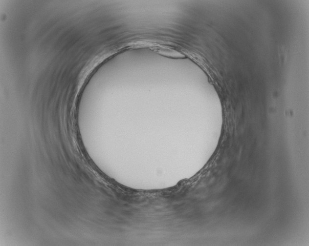 X0000075380289200609291558