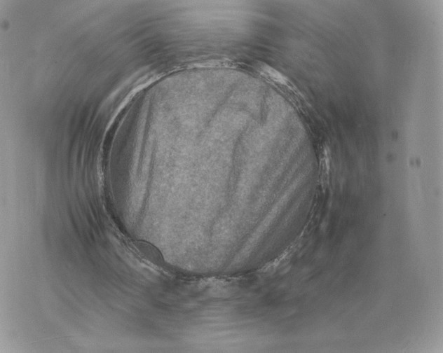 X0000075380290200609291558