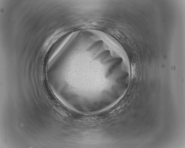 X0000075380291200609291558