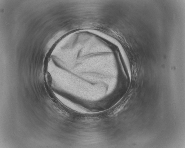 X0000075380292200609291558