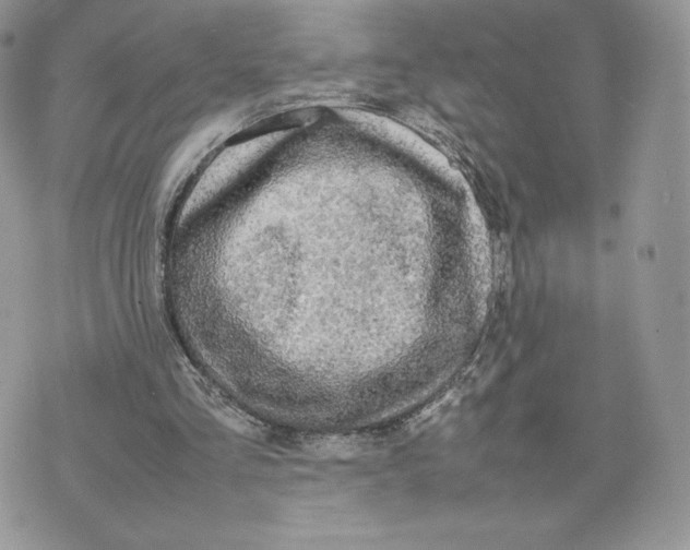 X0000075380293200609291558