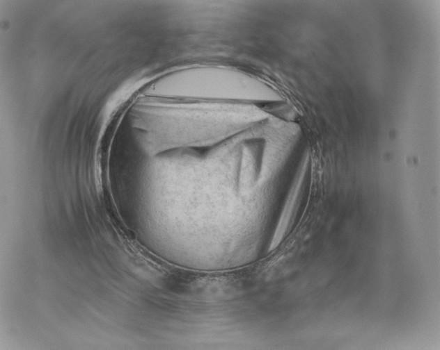 X0000075380294200609291558