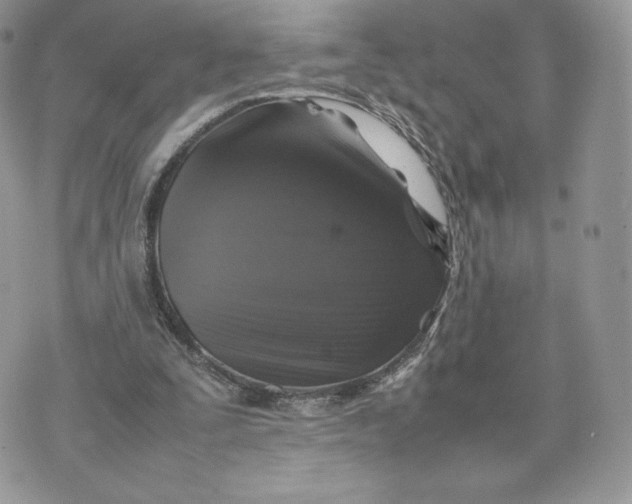 X0000075380295200609291558