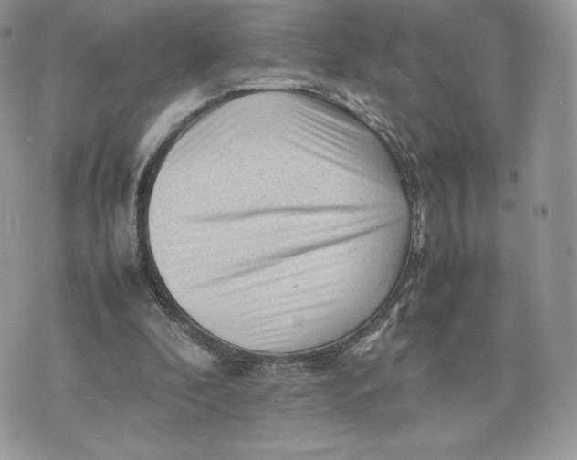 X0000075380296200609291558