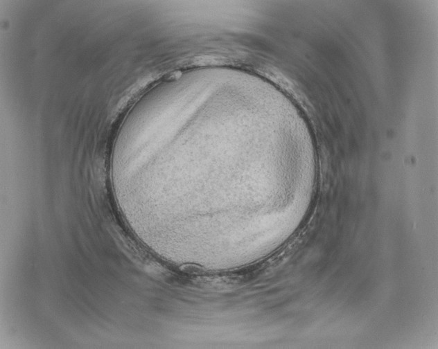 X0000075380297200609291558