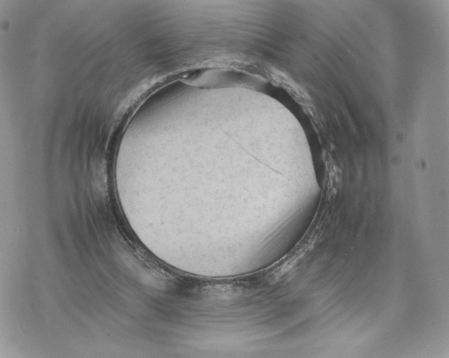 X0000075380298200609291558