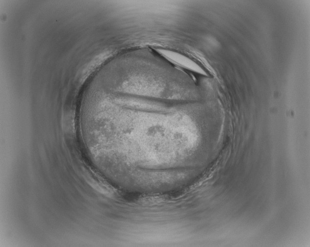 X0000075380299200609291558