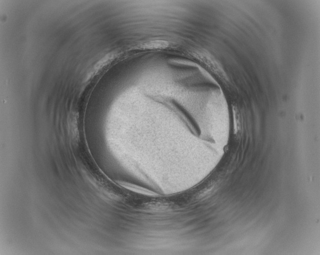 X0000075380300200609291558