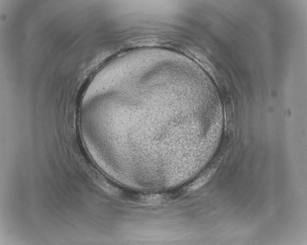 X0000075380301200609291558