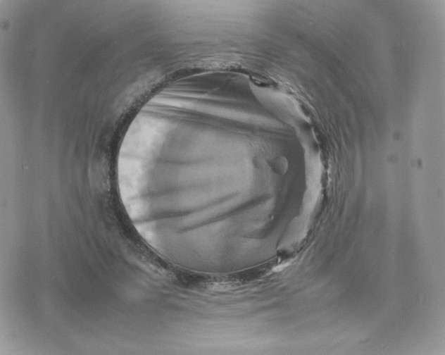 X0000075380303200609291558