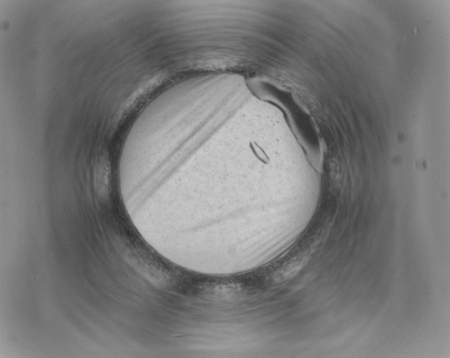 X0000075380304200609291558