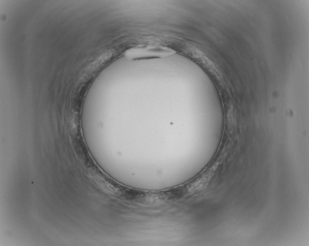 X0000075380305200609291557