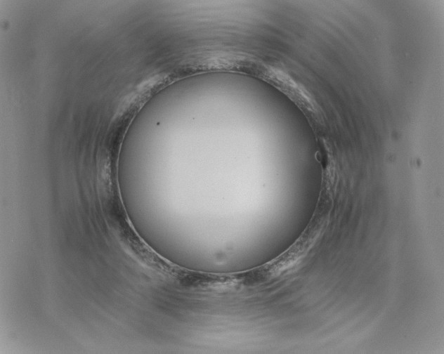 X0000075380306200609291557