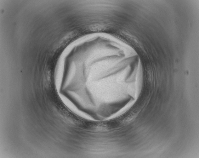 X0000075380308200609291557