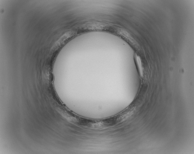 X0000075380309200609291557