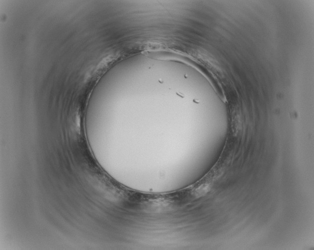 X0000075380310200609291557