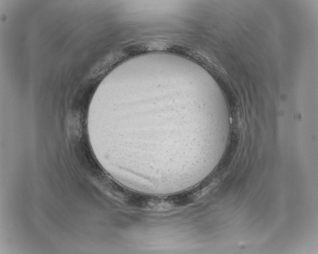 X0000075380311200609291557