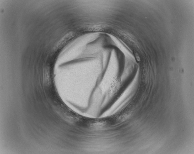 X0000075380312200609291557