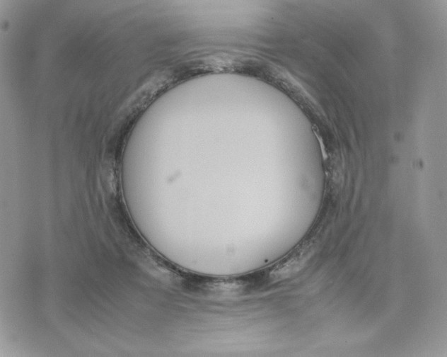 X0000075380313200609291557