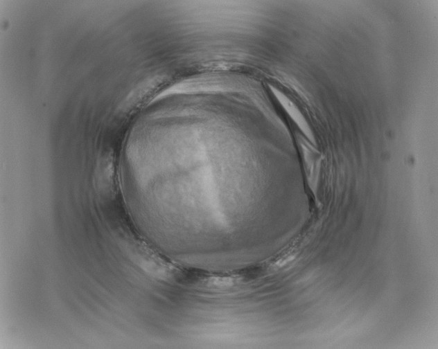 X0000075380314200609291557