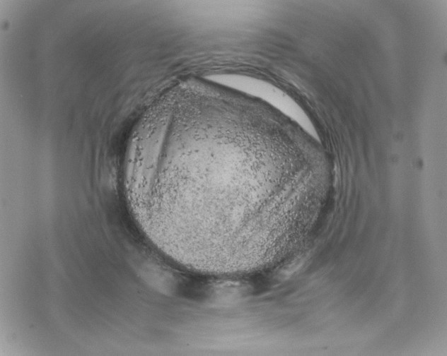 X0000075380315200609291557