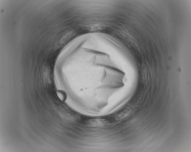 X0000075380316200609291557