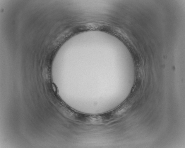 X0000075380317200609291557