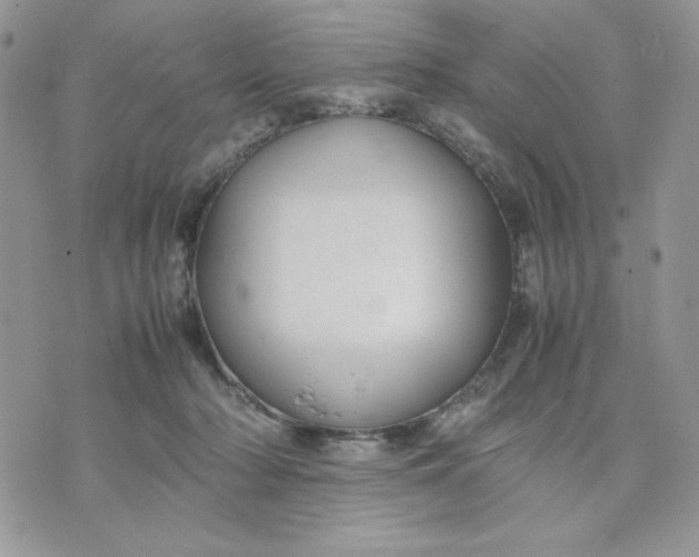 X0000075380318200609291557