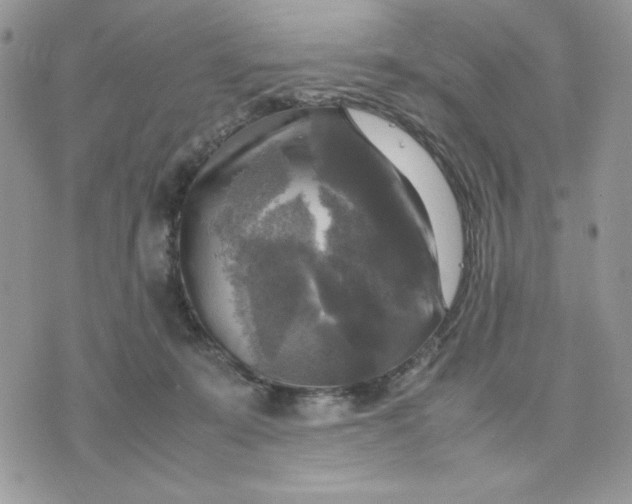 X0000075380319200609291557