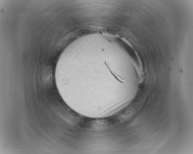 X0000075380320200609291557