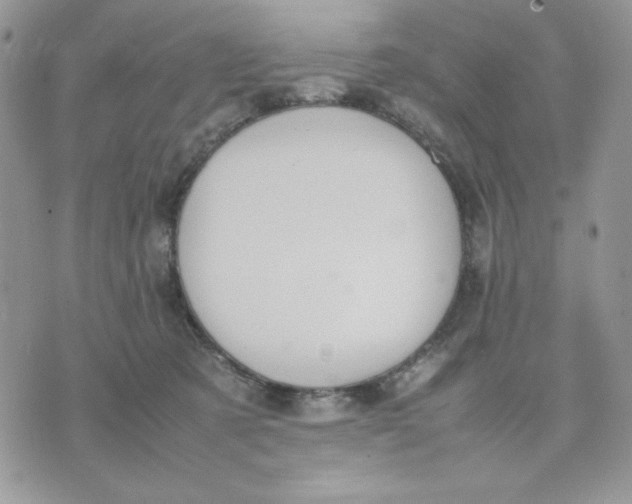 X0000075380321200609291557